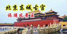插农村处女肉洞中国北京-东城古宫旅游风景区